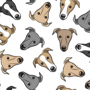 greyhounds - white - greyhound dog breed face - LAD19