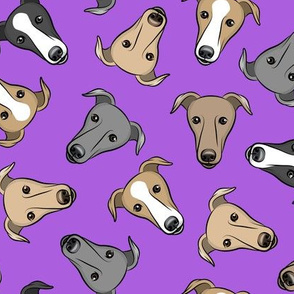 greyhounds - purple - greyhound dog breed face - LAD19