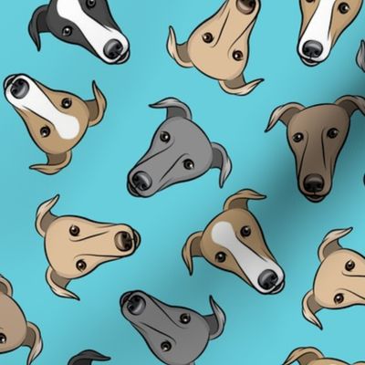 greyhounds - blue - greyhound dog breed face - LAD19