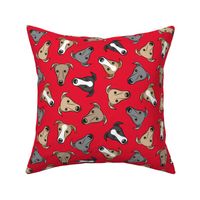 greyhounds - red - greyhound dog breed face - LAD19