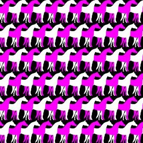 One Inch Magenta Pink and White Overlapping Horses on Black