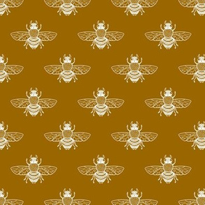 Baby Bee White on Toffee // standard