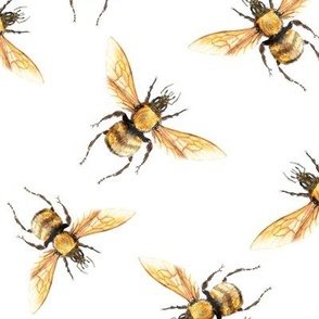 Honey Bee Golden v2 // XL 