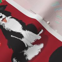 Normal scale • Christmas Border Collie red