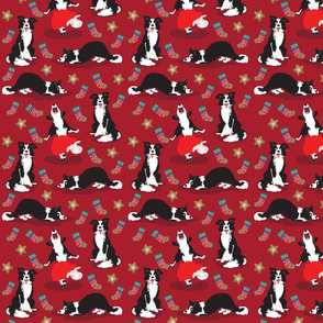 Small scale • Christmas Border Collie red