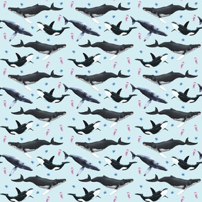 Small scale • Sea of whales 