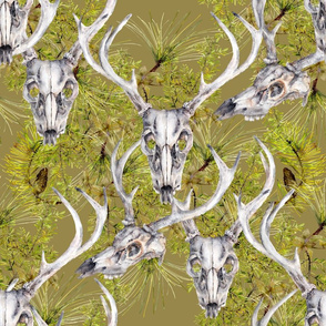 camouflage antlers and deer skulls