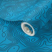 Topographic Map - Seamless - Blue