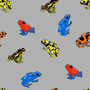 poison frogs on grey