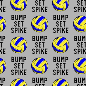 bump set spike - multi volleyball on grey - LAD19