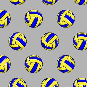 Volleyball - blue and yellow on grey - LAD19