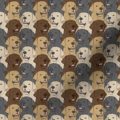 Small Labrador Retriever portrait pack