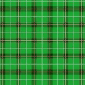 Christmas Holly Green and Evergreen Tartan with Red and White Lines