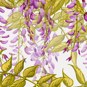 Large Wisteria Dream  | Soft White