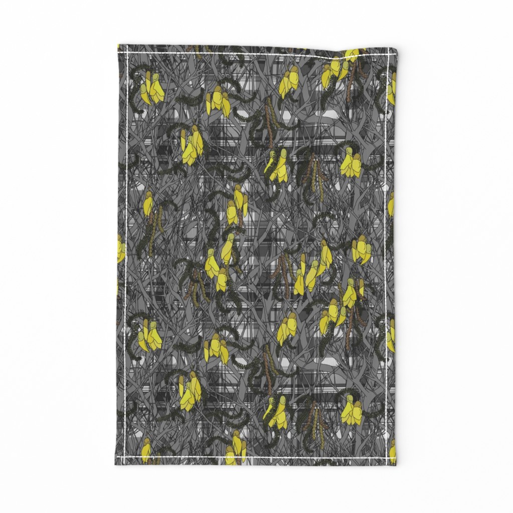 Kowhai flowers on plaid