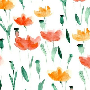 Watercolor coral poppies