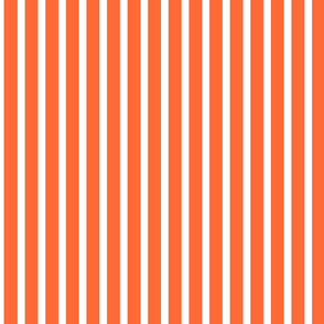 Geometry in Nature- Orange White Stripes
