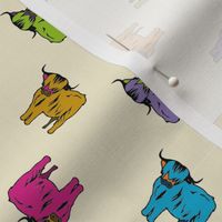 190003-1 Colourful Highland Cows