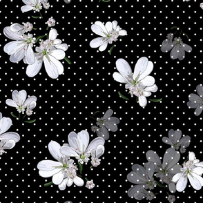 Coriander Flowers | Black  |  White Polka Dots