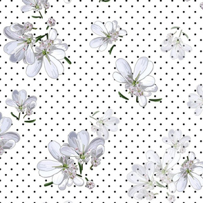 Coriander Flowers | White | Black Polka Dots