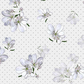 Coriander Flowers | Pale Wm Gray + Gray Polka Dots