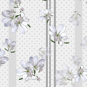 Coriander Flowers | Pale Wm Gray + Gray Polkadots/Stripes