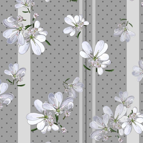 Coriander Flowers | Med Wm Gray + Dk Gray Dots