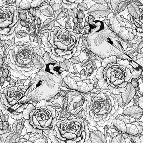 Rose flowers and goldfinch birds, b&w