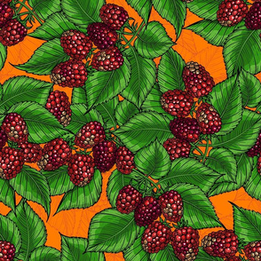 Raspberry on orange