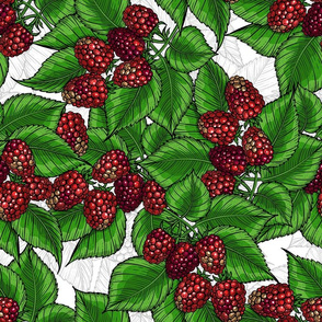 Raspberry on white