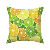 Citrus fruit slices 3