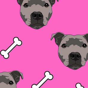 Flo The Staffie On Pink