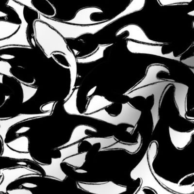 Orca Black and White