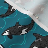 Orca Waves in Aqua