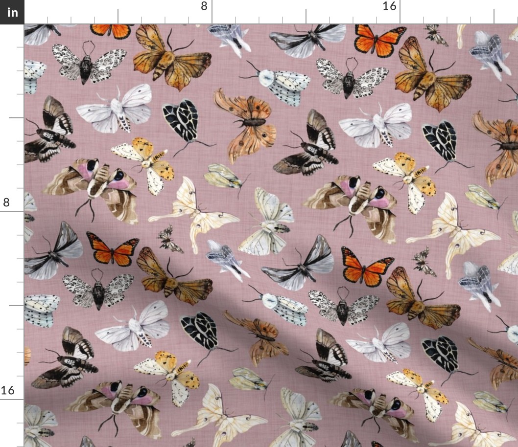 Butterflies and Moths // Lola Blush Linen