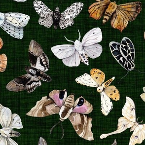 Butterflies and Moths // Deep Forest Green Linen