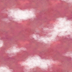 clouds in the sky only pink FLWRHT