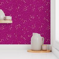 Zodiac constellations stars pattern in fuchsia by Pippa Shaw