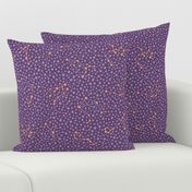 Zodiac constellations stars pattern in twilight by Pippa Shaw