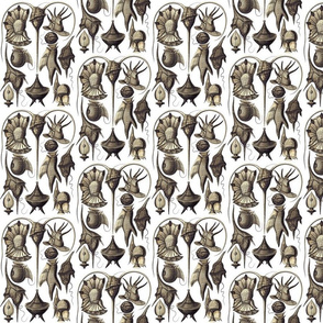 Ernst Haeckel Peridinea Coffee Brown