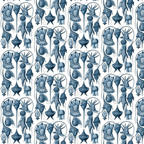 Ernst Haeckel Peridinea Prussian Blue