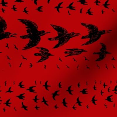 caw caw red black