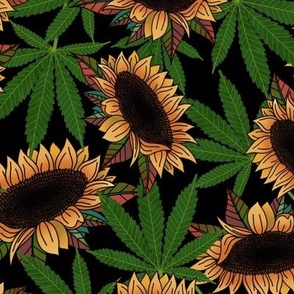 Cannabis and sunflowers