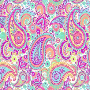 Paisley Bright on White