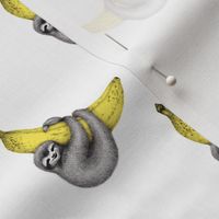 Banana Sloth - on white