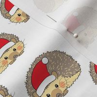 santa hedgehogs curled in a ball