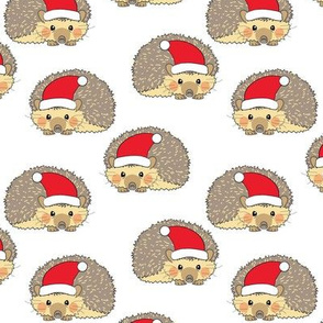 santa hedgehogs curled in a ball