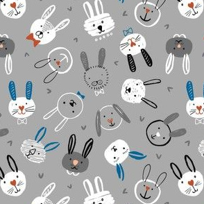 Grey and white rabbits 