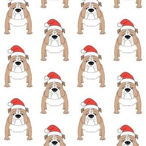 bulldog with santa hat