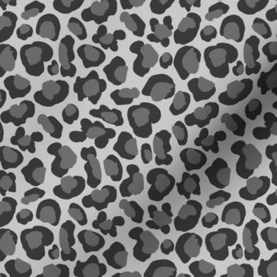 Leopard Spots Gray